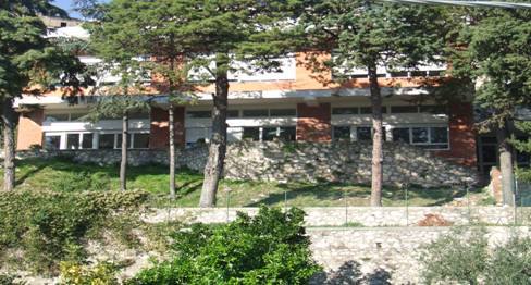 1619329 566804430067631 1342687336 n